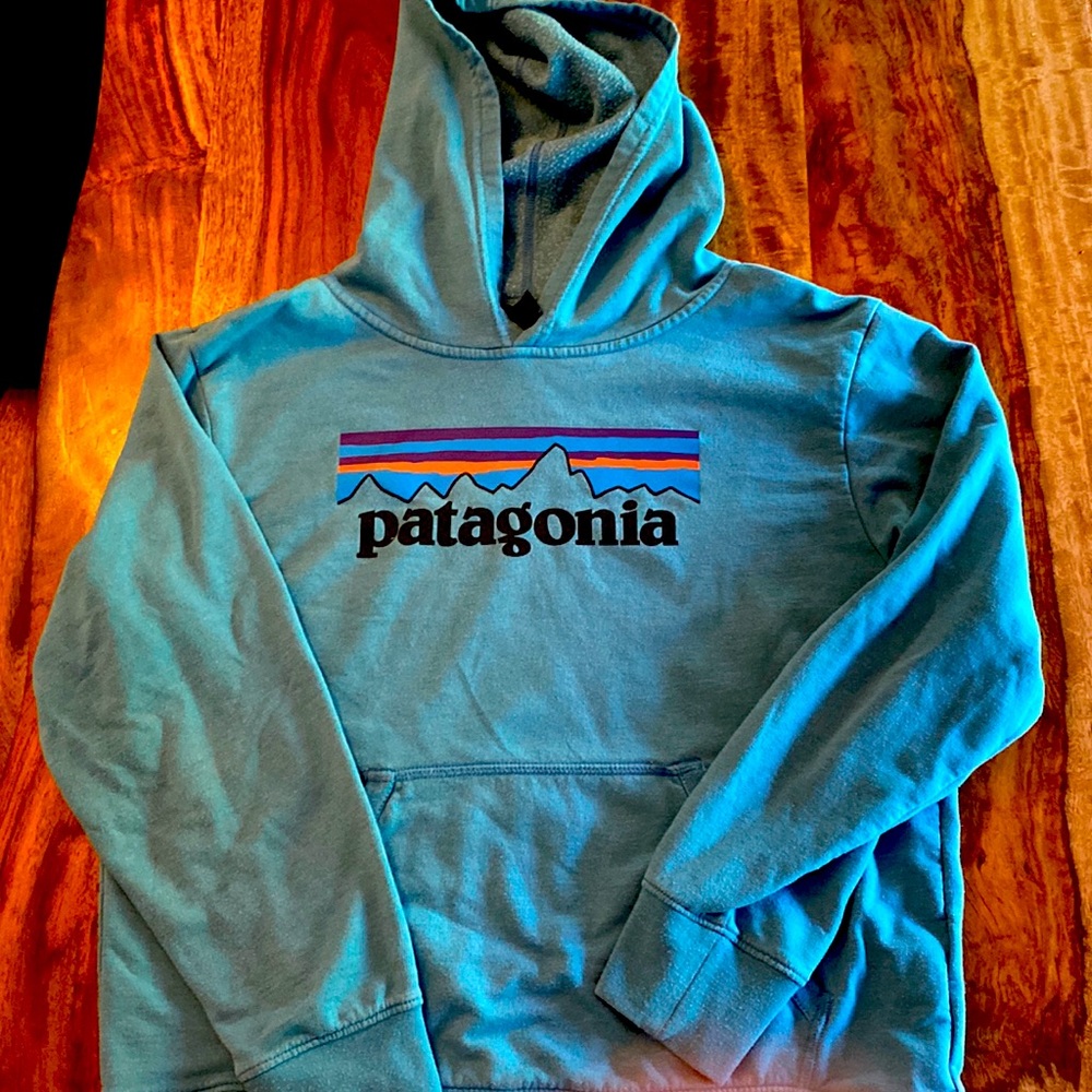 Patagonia hoodie